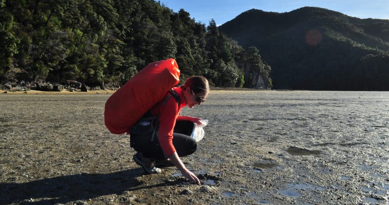 Zdążyć na odpływ, czyli Abel Tasman