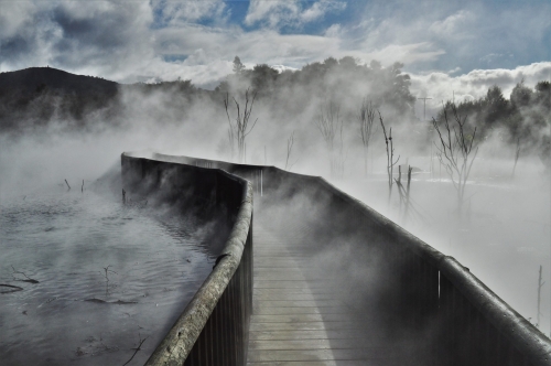 Park miejski Rotorua